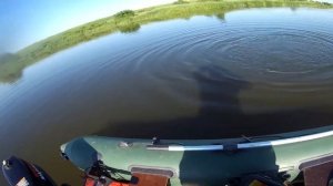 Щука на спиннинг. Трофей на воблер. Река Нерль.....