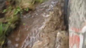 дорога на озеро Большое Плотово