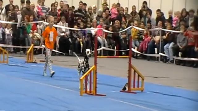 Смолиженко Настя и далматин Лола смотреть онлайн