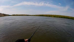 Голавль на микроколебалку Smith Pure 3.5 гр.