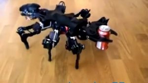 РОБОТ ПАУК С КЛЕШНЕЙ (GADGETSHOP55.COM)