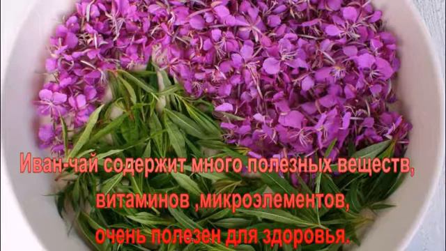 Интересное о Иван-чае. смотреть онлайн