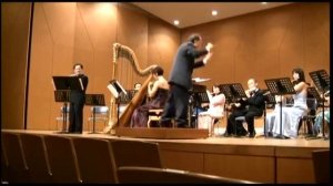 Mozart: Concerto for Flute and Harp 2nd mvmt.