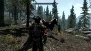 Skyrim - Havin fun there, horses?