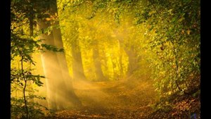 Август  , Белла  Ахмадулина ,Советская Поэзия ,   читает Павел Беседин