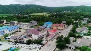 Анютины глазки Лермонтово