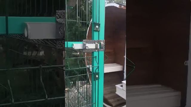 Видео-обзор уличного вольера для собак от «Планеты Дерева» смотреть онлайн