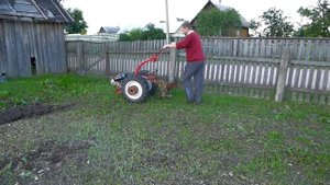 Запахиваем сидераты на удобрение