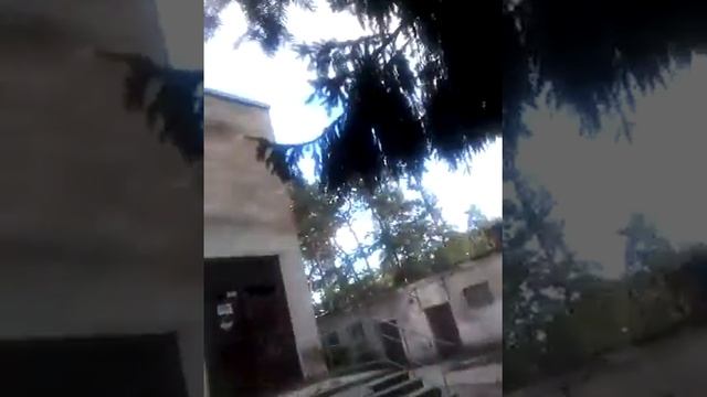 Прогулка в Озёрном часть 1??? смотреть онлайн