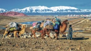 Хар хархан харц-Har harhan harts Mongol Folk Song