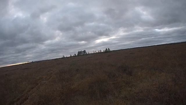 Гусь. Охота на гуся в Ленинградской области, осень 2017 (2) смотреть онлайн