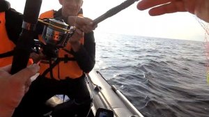 Кубенское озеро, рыбалка 22.06.19