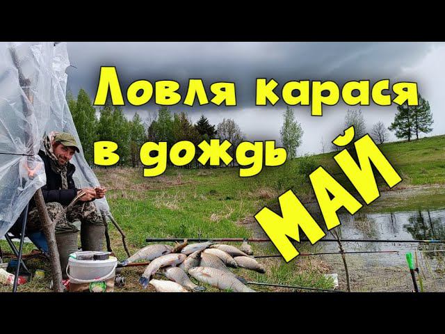 РЫБАЛКА В ДОЖДЬ: КАРАСЬ В МАЕ ОТЛИЧНЫЙ УЛОВ