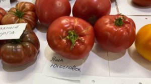 Бегом на выставку за семенами очень вкусных томатов!!