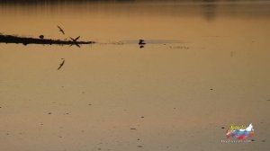 С.Есенин - "На небесном синем блюде"  (Rus/Eng subs)