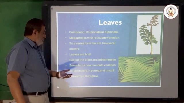 BOT-3141 Pteropsida - Diversity of Plants - Lecture # 03 смотреть онлайн