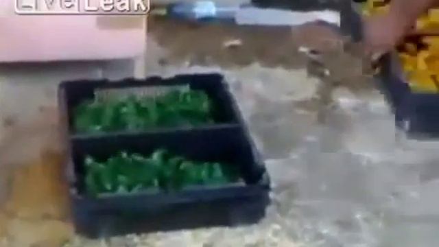 Как делают разноцветных цыплят