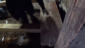 Ремонт пола в старом доме. Сени. Часть 2.