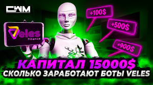 Сколько боты Veles заработали с капитала 15000$ за 2 месяца