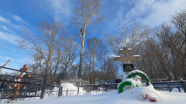 Спилить тополь на кладбище. Чего же еще с ним делать? смотреть онлайн