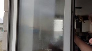 Пылесос для окон Karcher WV 1