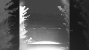 охота на хищника с юкон фотон на засидке