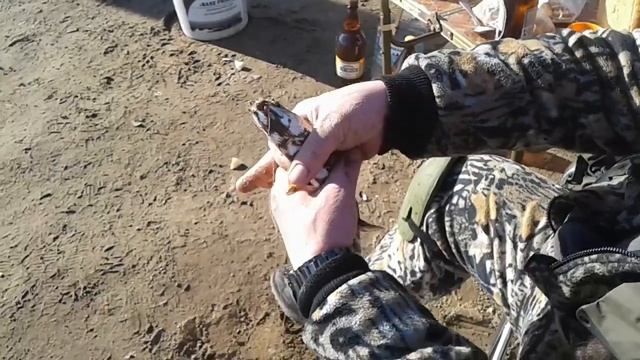 Сахалинская рыбка.#Улов#Голец смотреть онлайн