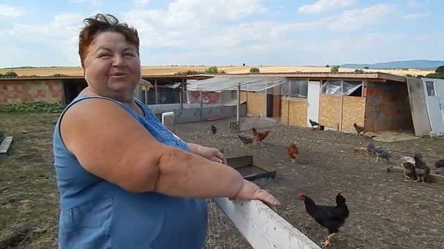 Натуральное мясо птицы  Разведение кур мясных пород  Маран
