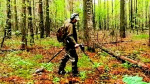 Небольшая прогулка с металлоискателем.
