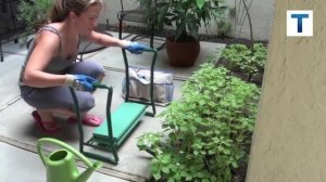 Удивительный садовый инвентарь и гаджеты для сада