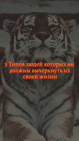 5 Типов людей которых вы должны вычеркнуть из своей жизни