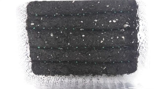 Сажаю рассаду лука Эксибишен | Рассада лука без пикировки смотреть онлайн