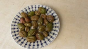 Актинидия - какая ягода после разморозки