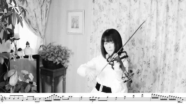Canon Rock/JerryC/E.Violin Cover смотреть онлайн