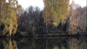 Река Карасук. Санаторий Краснозёрский. Осенний пейзаж. Природа Новосибирской области.