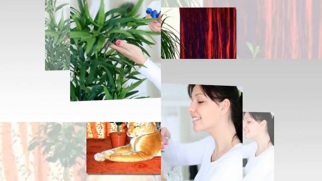 Как повысить ВЛАЖНОСТЬ ВОЗДУХА в квартире зимой и стоит ли это делать? смотреть онлайн