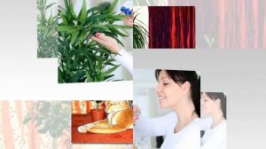 Как повысить ВЛАЖНОСТЬ ВОЗДУХА в квартире зимой и стоит ли это делать?