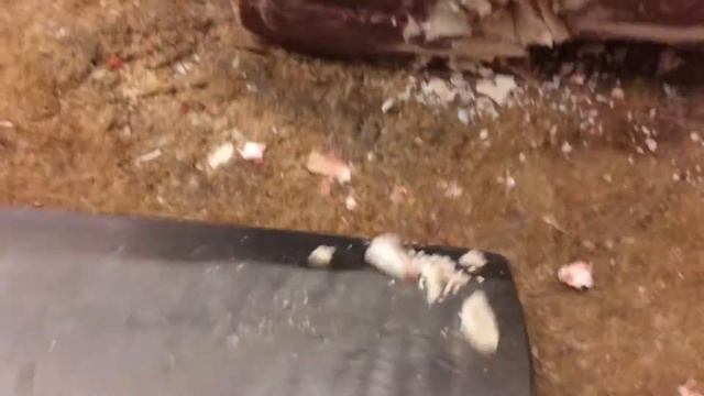 Продаю топоры для рубки мяса, всегда в наличии! Тел. 89150489904 Семен смотреть онлайн