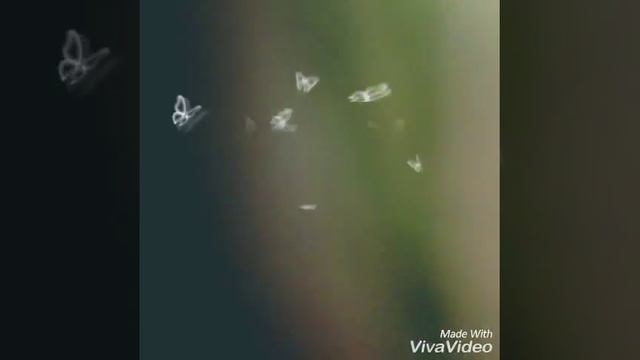 Это хит на это хит на смотреть онлайн