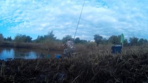 Отличная рыбалка в затоне перед спадом воды карась и бель на удочку.