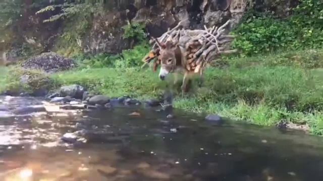 Необычайно Мудрая Притча Про Чужое Мнение. Ты Должен Её Знать! смотреть онлайн
