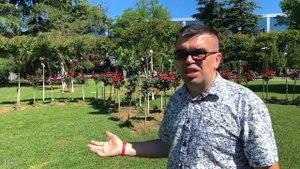 На чем передвигаться в Грузии туристу? Как путешествовать по Грузии - бюджетные способы передвижени