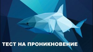 Что такое тестирование на проникновение и зачем оно нужно