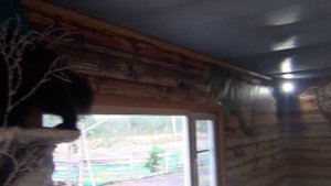 Саамская деревня, музей истории кольских саамов в Ловозеро
