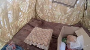 весенняя охота 22