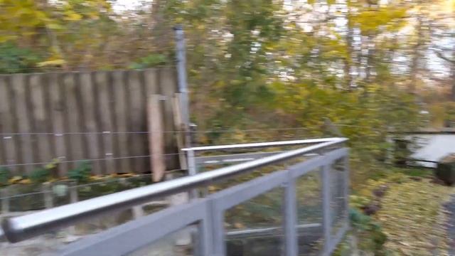 Зоопарк в Германии городке Халберштат смотреть онлайн