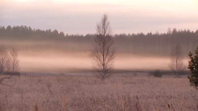 Ноябрь-декабрь 2022 смотреть онлайн