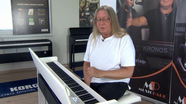 Roman Dragoun a KORG C1 смотреть онлайн