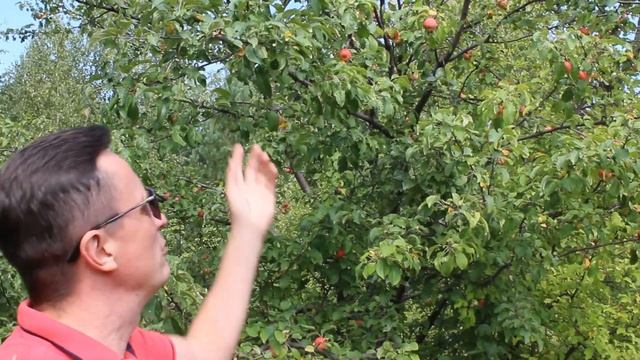 Стрельная гора смотреть онлайн