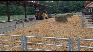Ферма Дорперов. Овцеводство в Калининградской области. Немного о нашей фермы. Как это устроено.